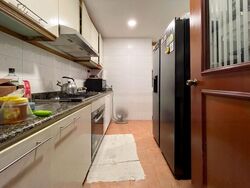 Seletaris (D27), Condominium #458894821